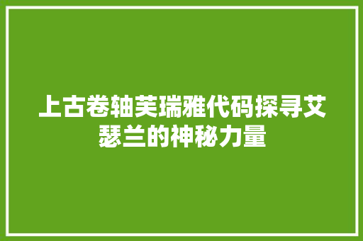 上古卷轴芙瑞雅代码探寻艾瑟兰的神秘力量