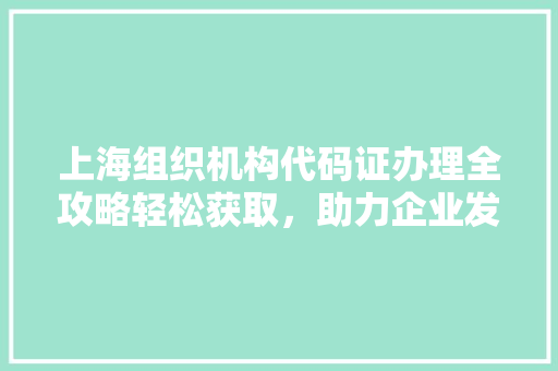 上海组织机构代码证办理全攻略轻松获取，助力企业发展