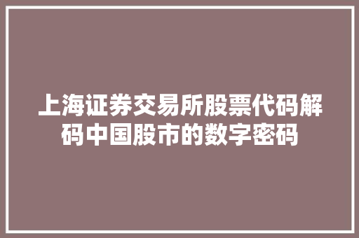 上海证券交易所股票代码解码中国股市的数字密码