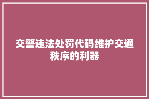 交警违法处罚代码维护交通秩序的利器