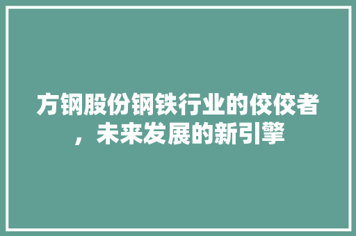 方钢股份钢铁行业的佼佼者，未来发展的新引擎