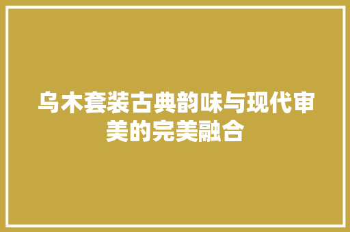 乌木套装古典韵味与现代审美的完美融合
