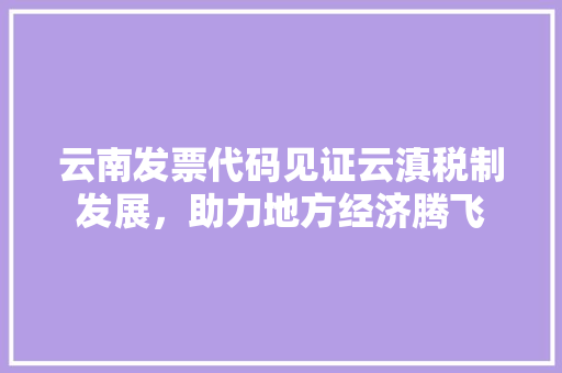 云南发票代码见证云滇税制发展，助力地方经济腾飞