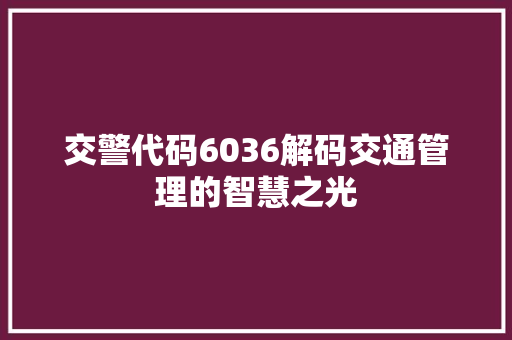 交警代码6036解码交通管理的智慧之光