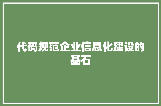 代码规范企业信息化建设的基石