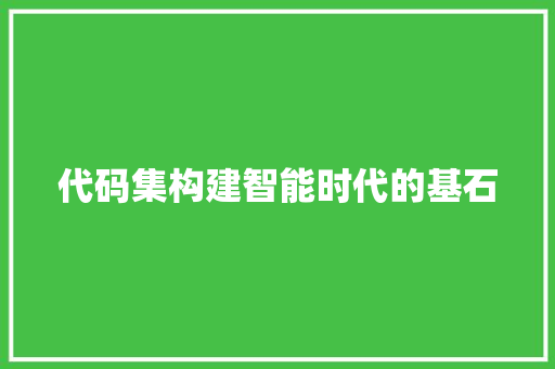 代码集构建智能时代的基石  第1张