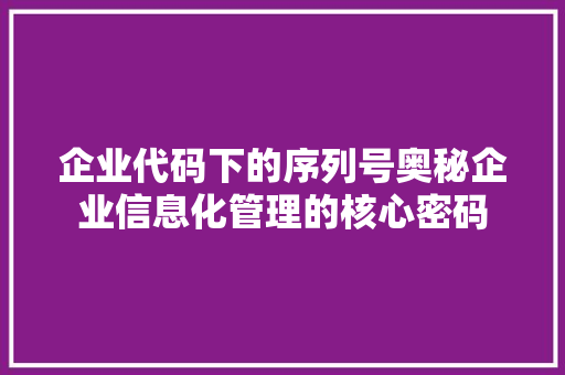 企业代码下的序列号奥秘企业信息化管理的核心密码