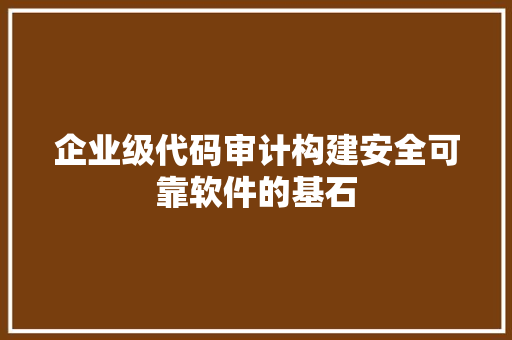 企业级代码审计构建安全可靠软件的基石