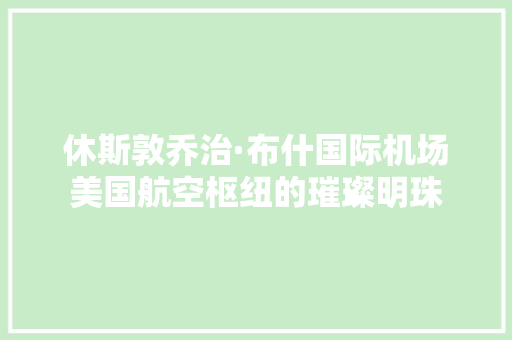 休斯敦乔治·布什国际机场美国航空枢纽的璀璨明珠