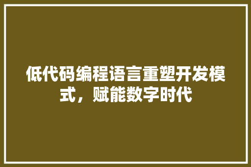 低代码编程语言重塑开发模式，赋能数字时代