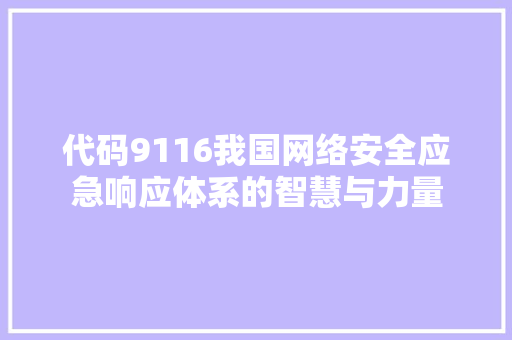 代码9116我国网络安全应急响应体系的智慧与力量