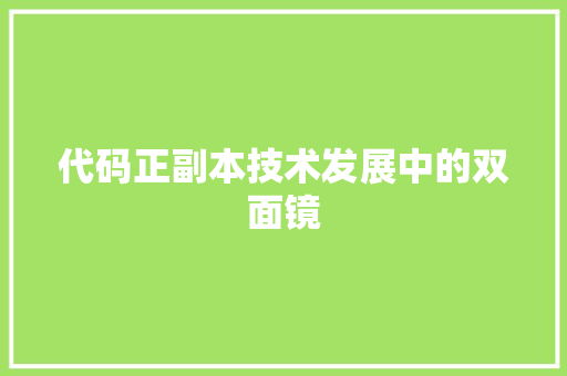 代码正副本技术发展中的双面镜