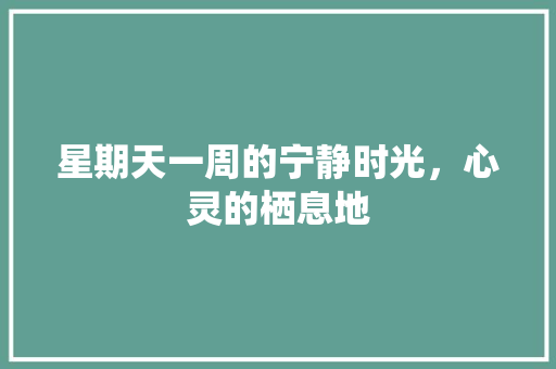 星期天一周的宁静时光，心灵的栖息地