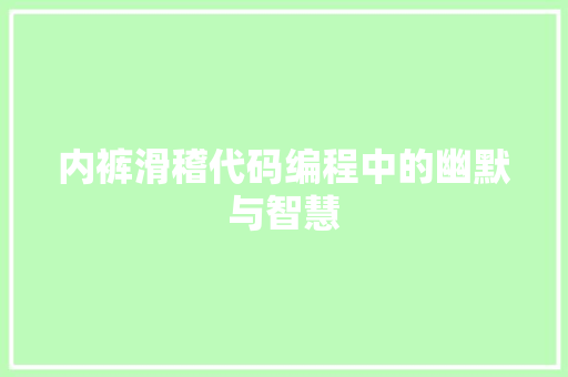内裤滑稽代码编程中的幽默与智慧