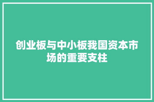 创业板与中小板我国资本市场的重要支柱