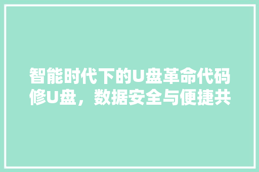 智能时代下的U盘革命代码修U盘，数据安全与便捷共存