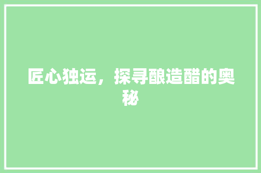 匠心独运，探寻酿造醋的奥秘