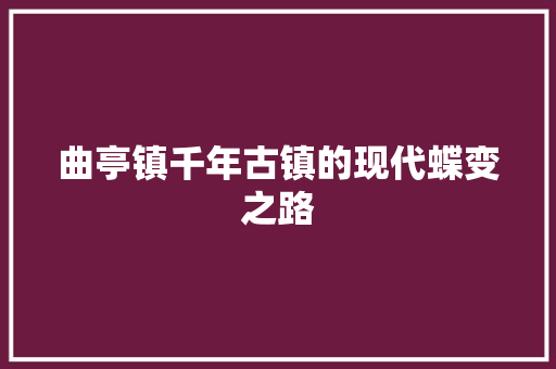 曲亭镇千年古镇的现代蝶变之路