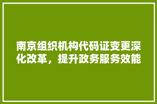 南京组织机构代码证变更深化改革，提升政务服务效能