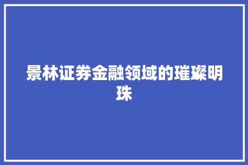 景林证券金融领域的璀璨明珠