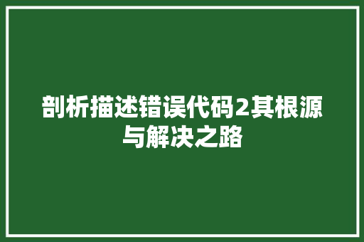 剖析描述错误代码2其根源与解决之路