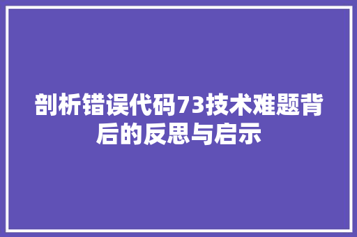 剖析错误代码73技术难题背后的反思与启示