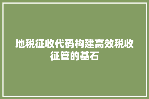 地税征收代码构建高效税收征管的基石