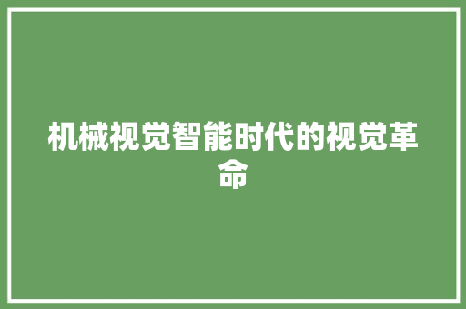 机械视觉智能时代的视觉革命  第1张