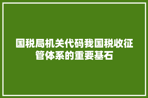 国税局机关代码我国税收征管体系的重要基石