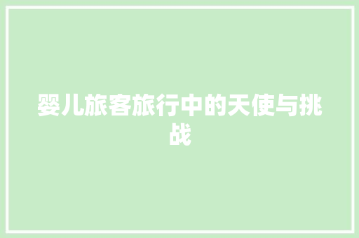 婴儿旅客旅行中的天使与挑战