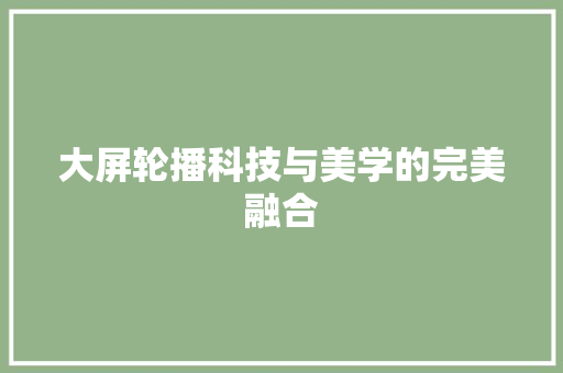 大屏轮播科技与美学的完美融合
