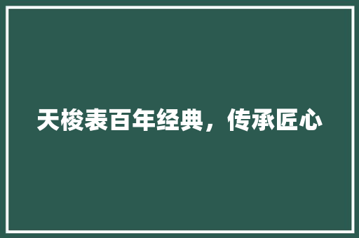 天梭表百年经典，传承匠心  第1张