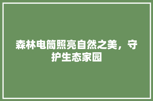 森林电筒照亮自然之美，守护生态家园