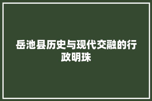岳池县历史与现代交融的行政明珠