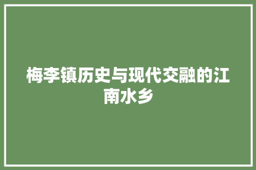 梅李镇历史与现代交融的江南水乡