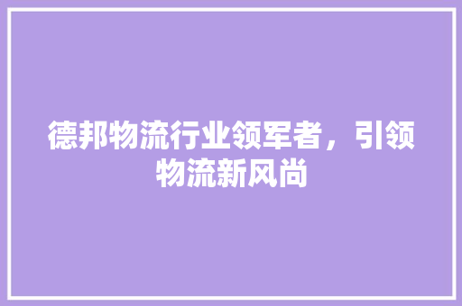 德邦物流行业领军者，引领物流新风尚