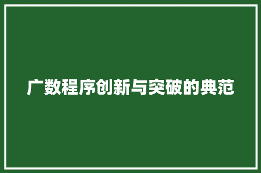 广数程序创新与突破的典范