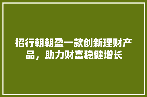 招行朝朝盈一款创新理财产品，助力财富稳健增长