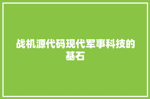 战机源代码现代军事科技的基石