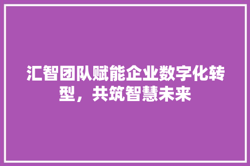 汇智团队赋能企业数字化转型，共筑智慧未来