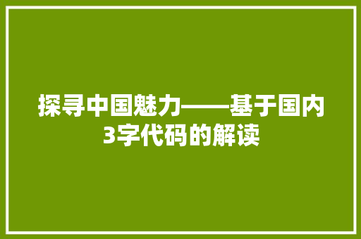 探寻中国魅力——基于国内3字代码的解读