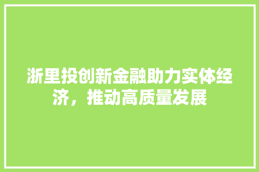 浙里投创新金融助力实体经济，推动高质量发展