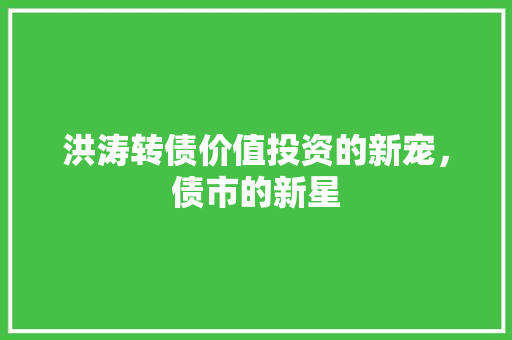 洪涛转债价值投资的新宠，债市的新星
