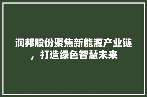 润邦股份聚焦新能源产业链，打造绿色智慧未来