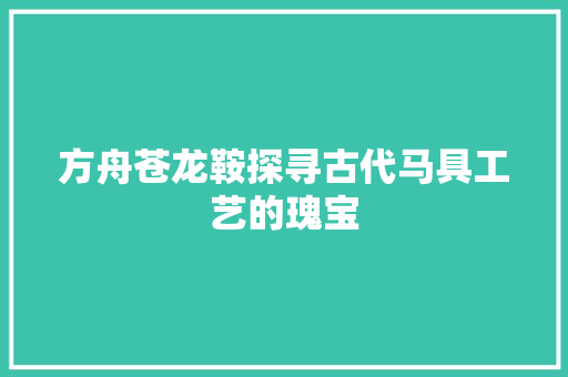 方舟苍龙鞍探寻古代马具工艺的瑰宝