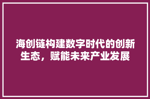 海创链构建数字时代的创新生态，赋能未来产业发展