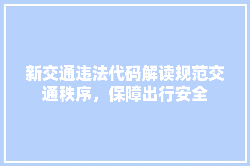新交通违法代码解读规范交通秩序，保障出行安全