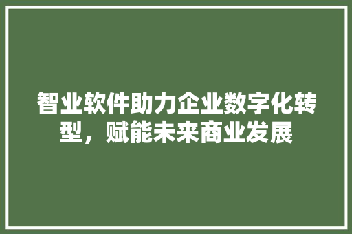 智业软件助力企业数字化转型，赋能未来商业发展