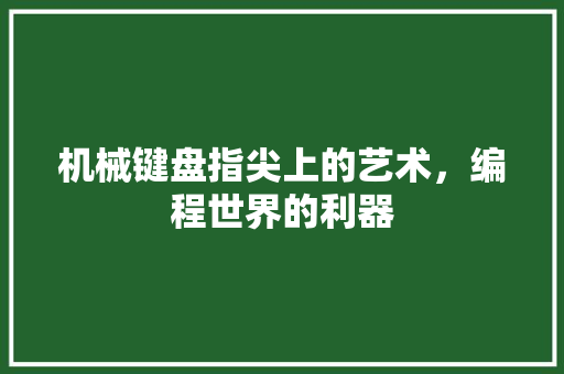 机械键盘指尖上的艺术，编程世界的利器