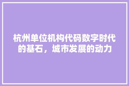 杭州单位机构代码数字时代的基石，城市发展的动力